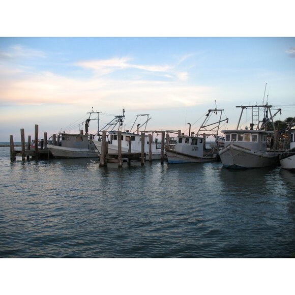 Canon Powershot A640 Digital Camera 10.0MP 4x Optical Zoom Video 32GB SD MINT - Picture 13 of 16